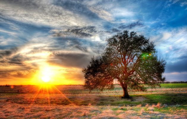 另一种生活 (图）