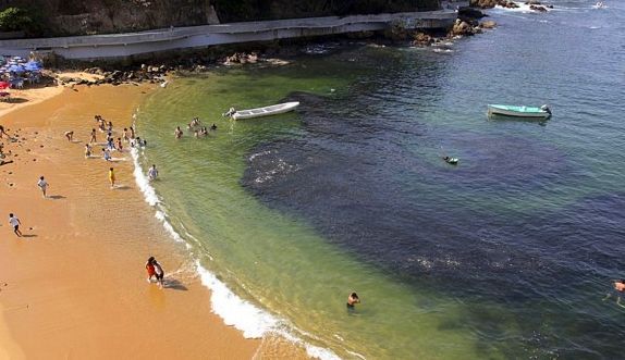 海水出現「神秘黑影」 人們卻紛紛跳入海中(組圖)