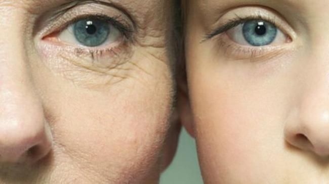 研究：鋰可能披露人類老化秘密