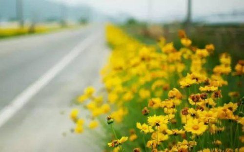 春天最棒的護肝法，不花一分錢(組圖)