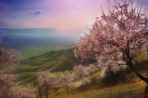 絕美風景人間仙境—新疆伊犁杏花溝