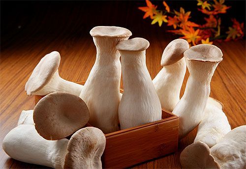 杏鲍菇的纤维是地瓜的2倍－减脂顺便、远离脂肪肝