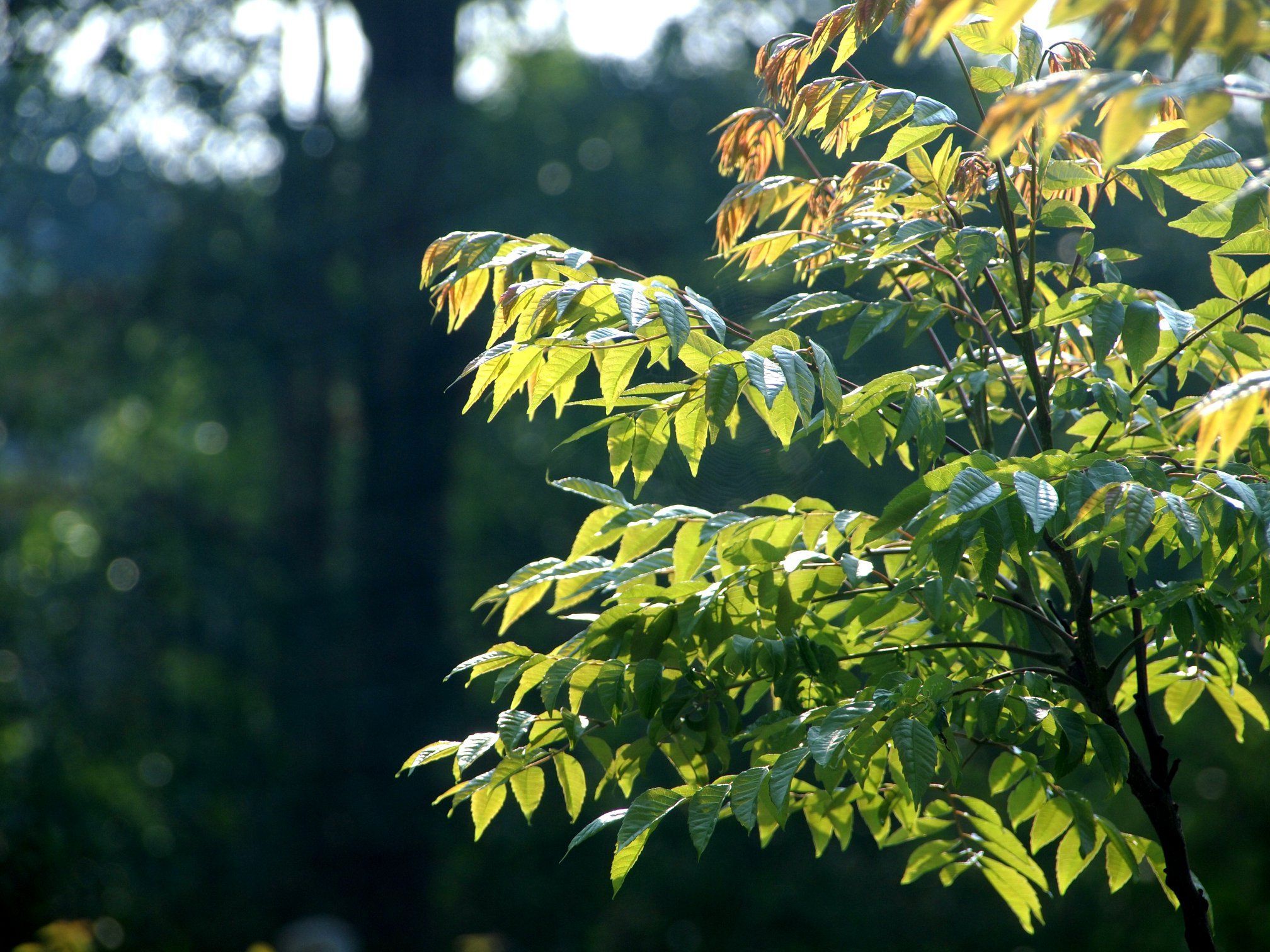 親子之間：一夕醒悟脫離電玩的兒子