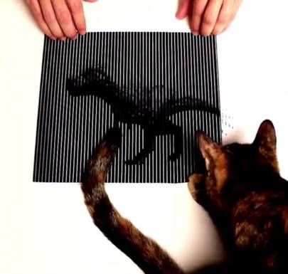 神奇的错觉动画！移动上面的纸　下面的图案就动了