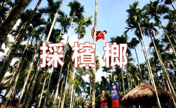 【上海老歌】《採檳榔》