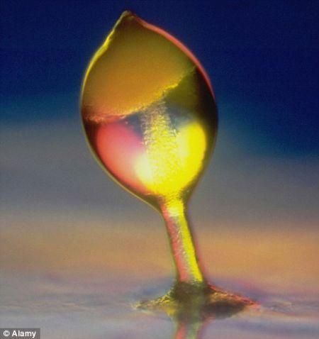 微生物也會“耕種”收穫作物！(圖)