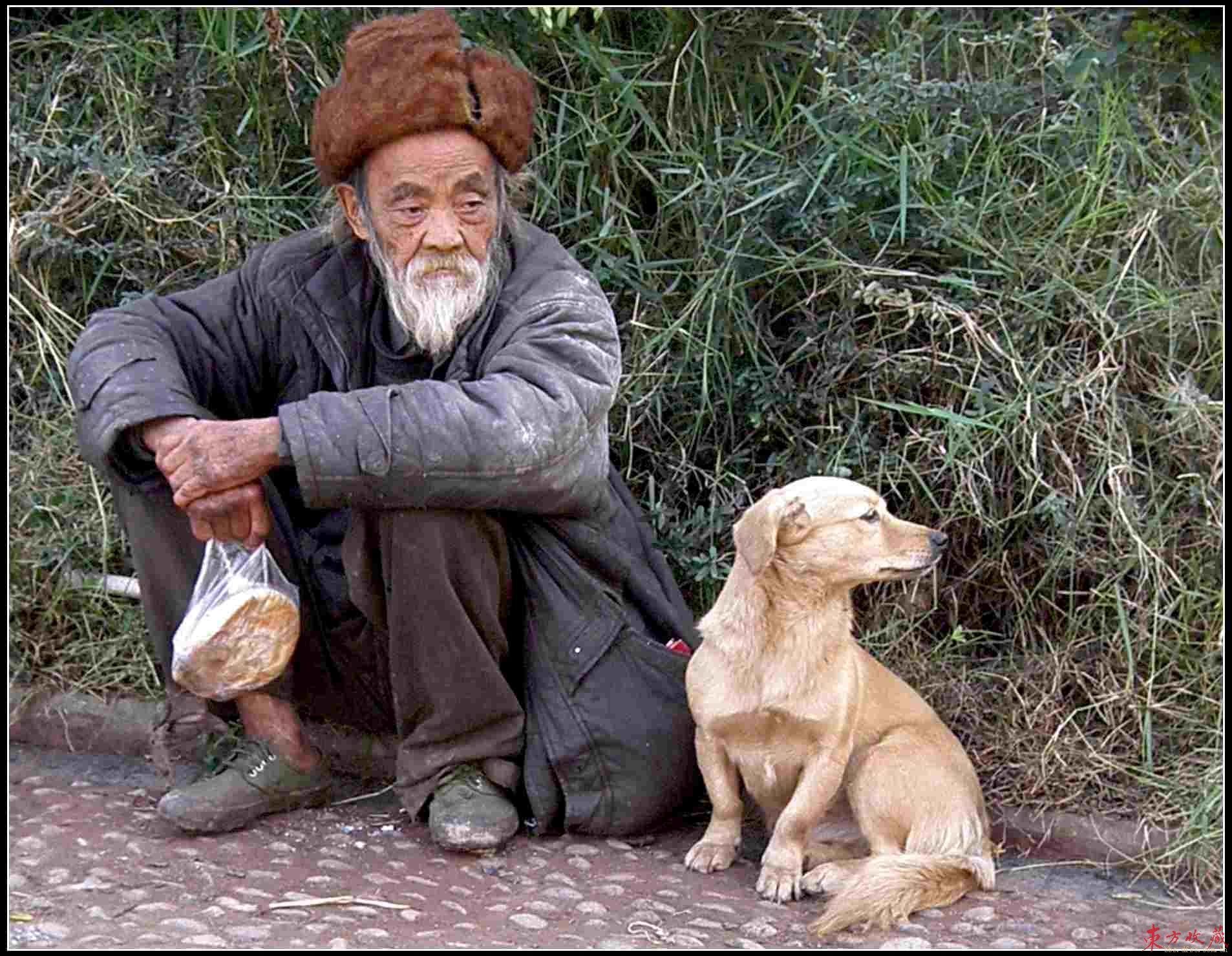 老人與狗，一則催人淚下的故事。