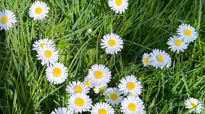 2019年川普國情咨文：拒絕社會主義